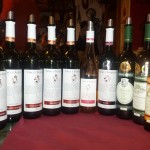 Degustace Patria Kobylí6